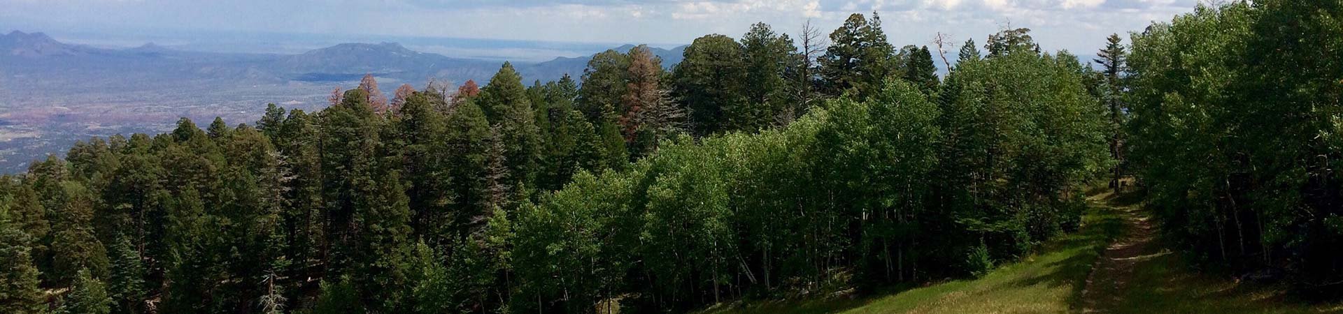 Custom homes in the East Mountains