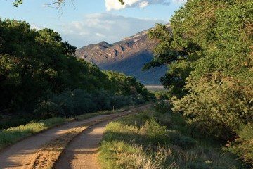 Bosque del Rio Grande 9